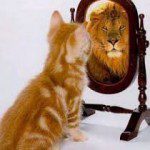 cat-lion-mirror